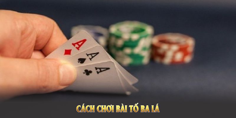 Cách Chơi Bài Tố Ba Lá Cực Chuẩn Để Thắng Lớn Trên F8BET